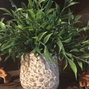 Meet your Posher, Francisca